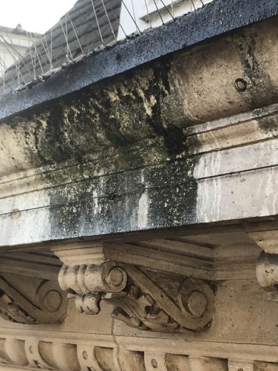 Specialist Cleaning - External Cleaning - 005