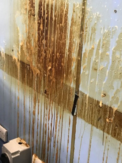 Specialist Cleaning - Hygiene cleaning - 001