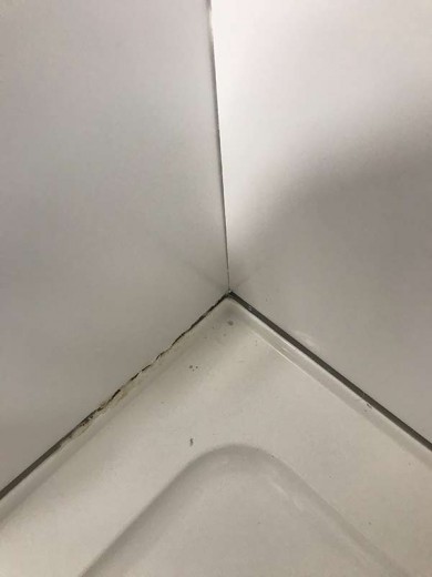 Mastic - Collister Limited 011