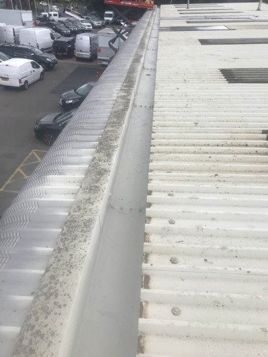 Specialist Cleaning - Gutter Cleaning 001