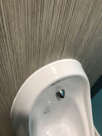 Mastic - Collister Limited 013