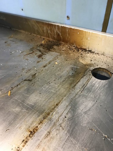 Specialist Cleaning - Hygiene cleaning - 002