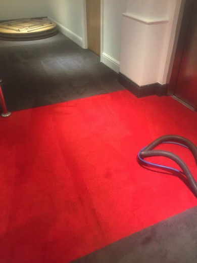 Specialist Cleaning Carpet Cleaning - 001