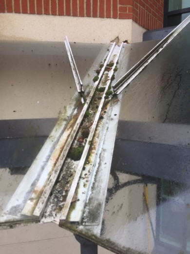 Reach Wash Window Cleaning - Collister Limited 005