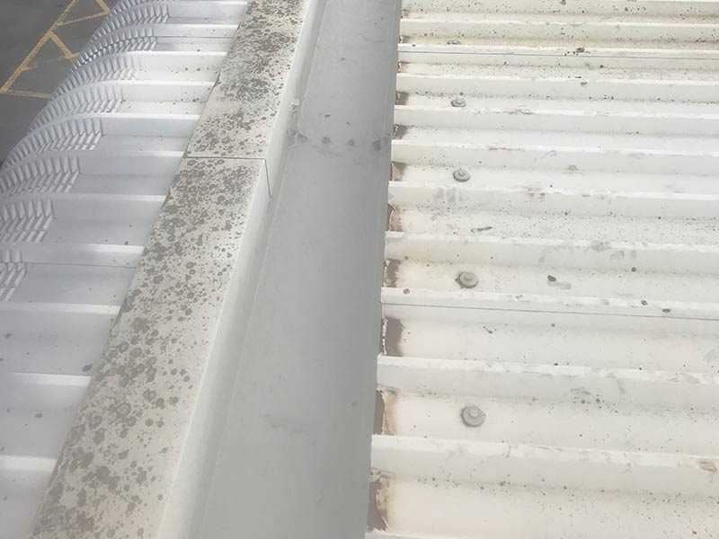 Gutter cleaning - Collister Limited