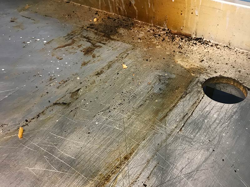 Hygiene cleaning - Collister Limited